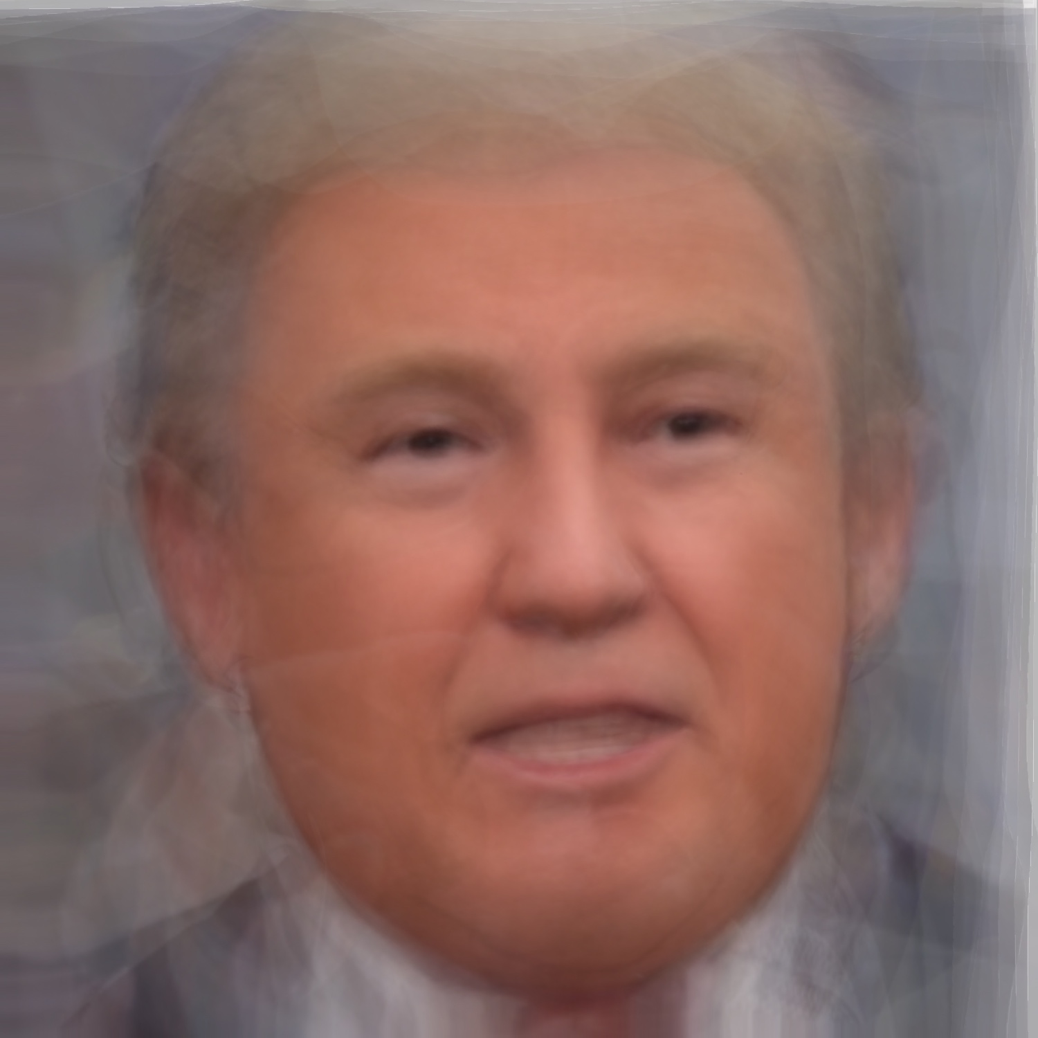 The President インターネット世界における欲望の肖像
